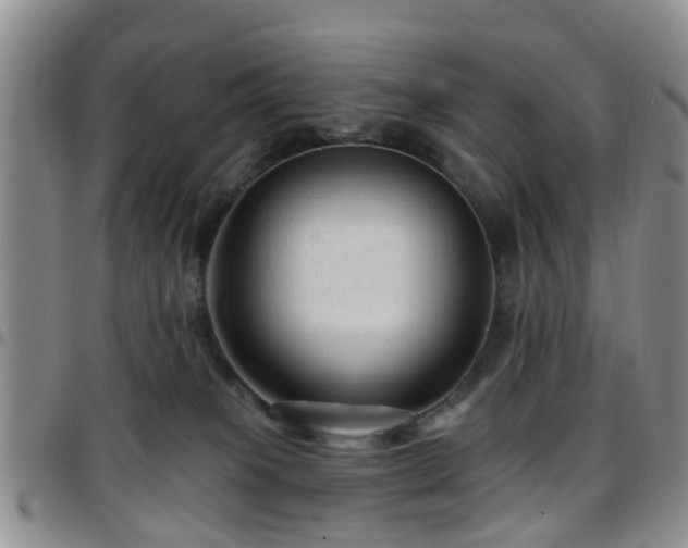 X0000097750085200803141606