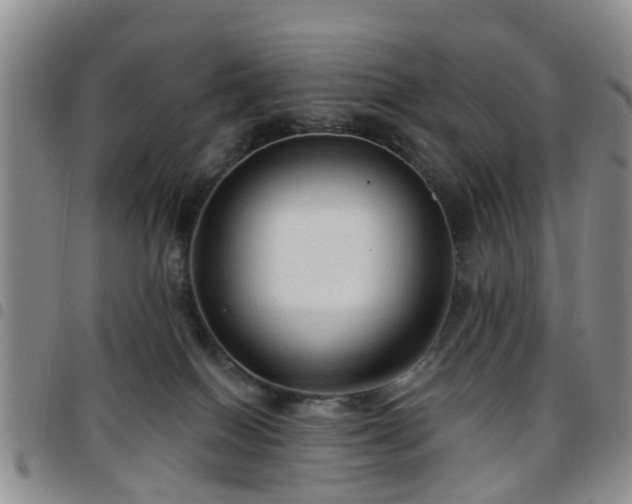 X0000097750086200803141606