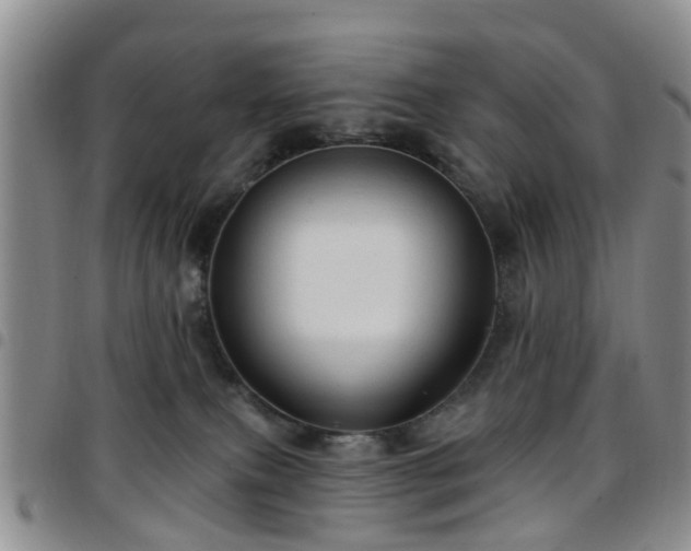 X0000097750087200803141606