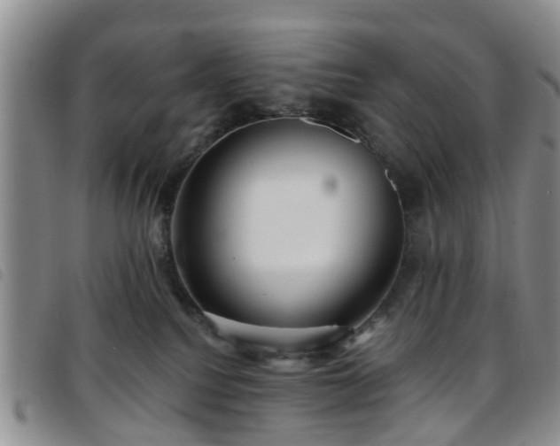 X0000097750088200803141606