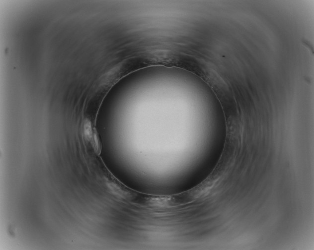 X0000097750089200803141606