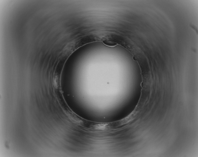 X0000097750090200803141606