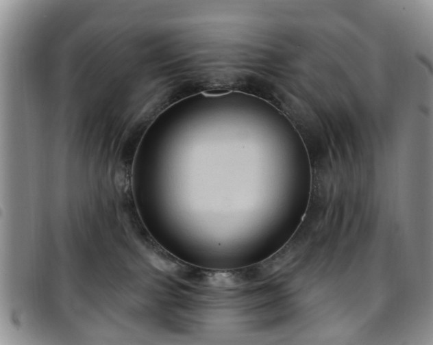 X0000097750091200803141606