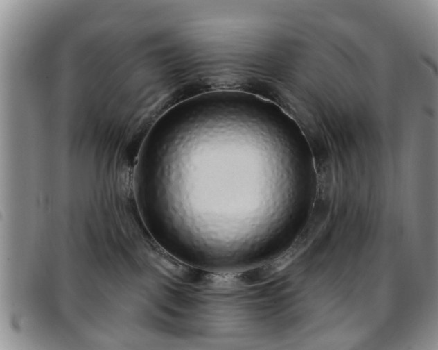 X0000097750093200803141606