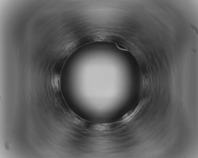 X0000097750094200803141606