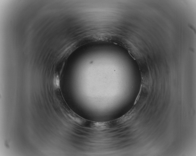 X0000097750095200803141606