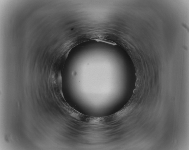 X0000097750096200803141606