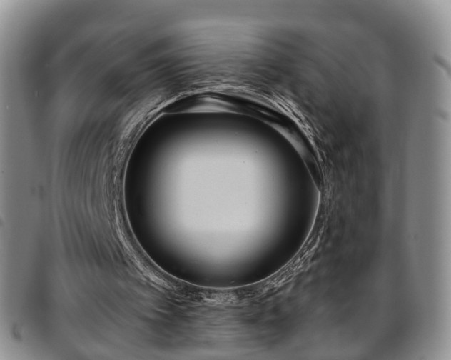 X0000097750097200803141605