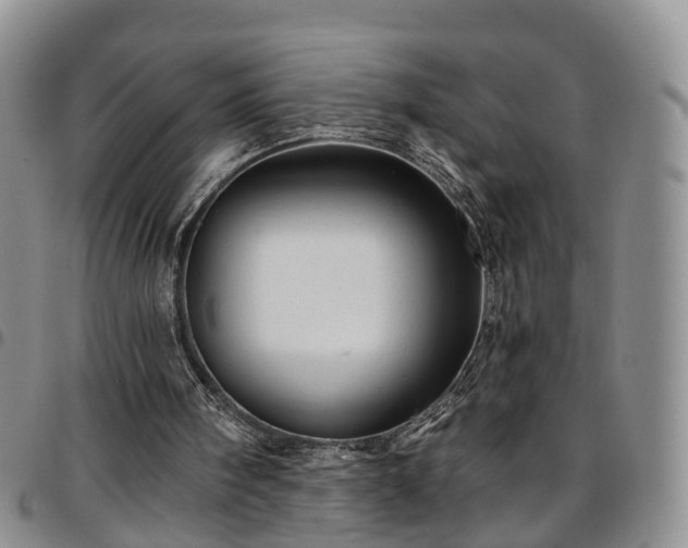 X0000097750098200803141605