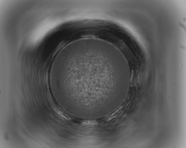 X0000097750099200803141605