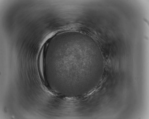 X0000097750100200803141605