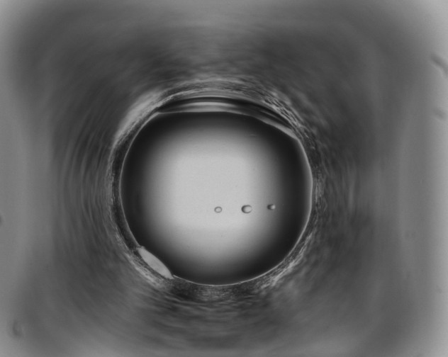 X0000097750101200803141605