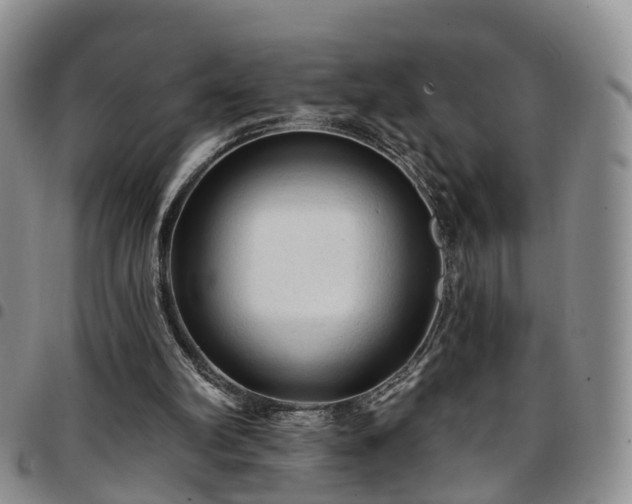 X0000097750102200803141605