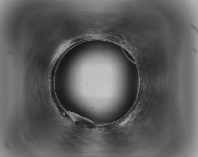 X0000097750103200803141605