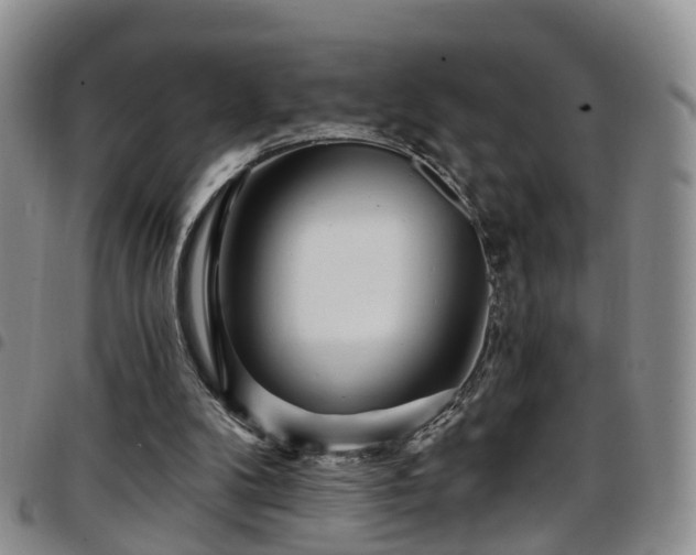 X0000097750104200803141605