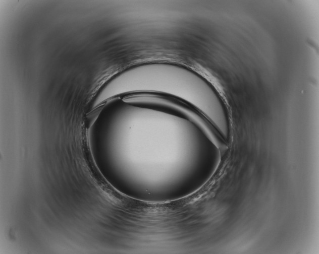 X0000097750105200803141605