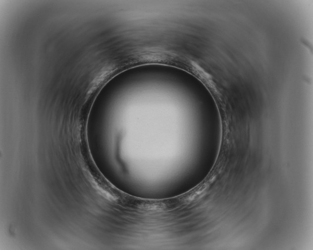 X0000097750106200803141605