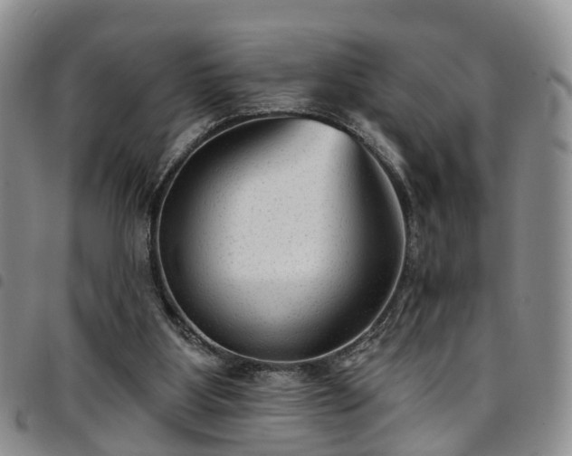 X0000097750107200803141605