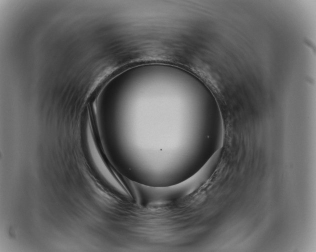 X0000097750108200803141605