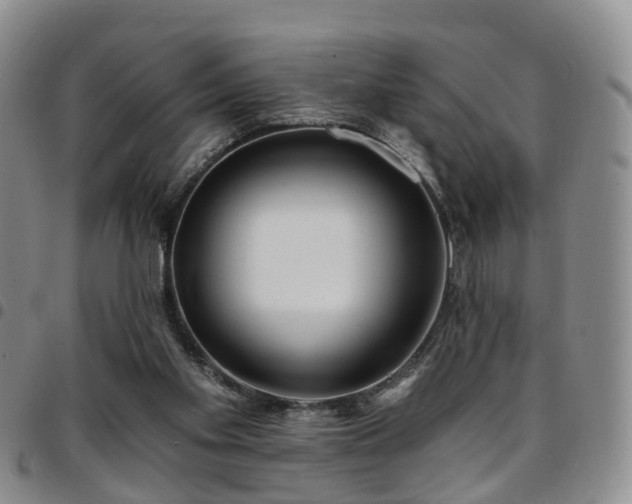 X0000097750109200803141605