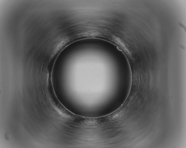 X0000097750110200803141605