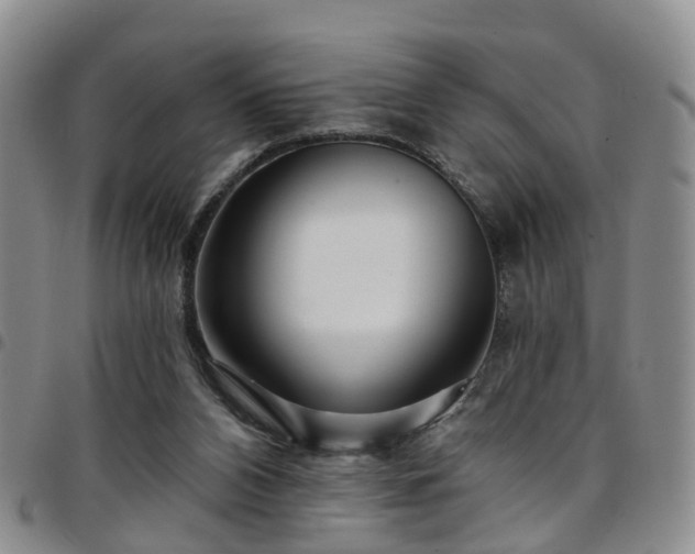 X0000097750112200803141605