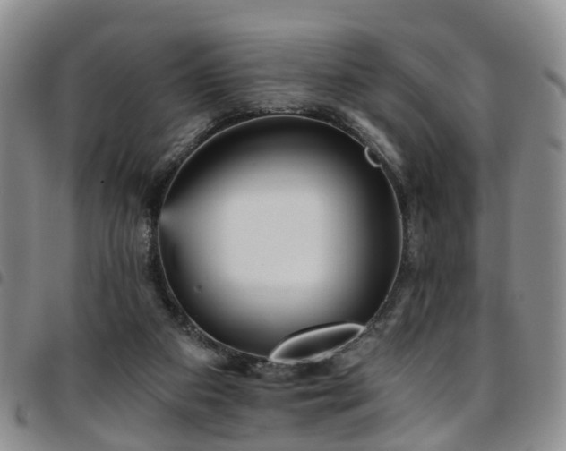 X0000097750113200803141605