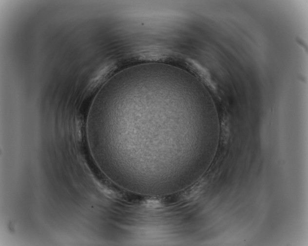 X0000097750114200803141605