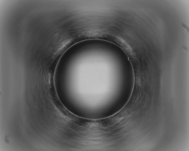 X0000097750115200803141605