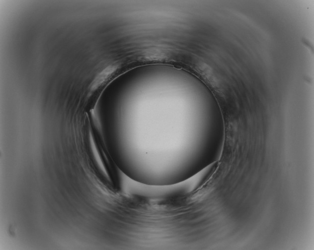 X0000097750116200803141605