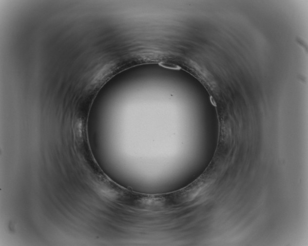 X0000097750117200803141605