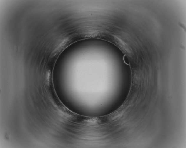 X0000097750118200803141605