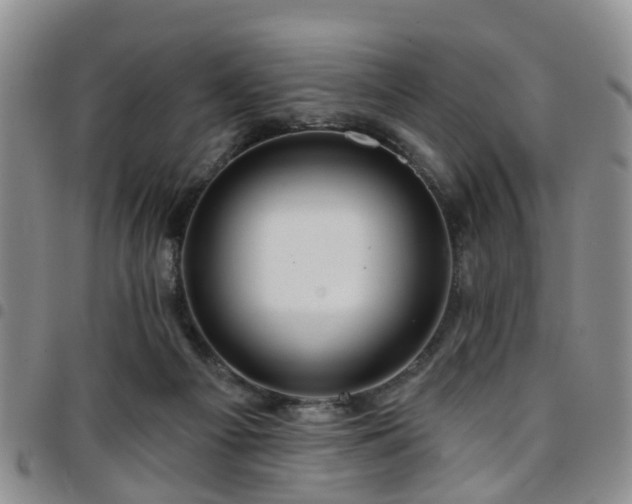 X0000097750121200803141605