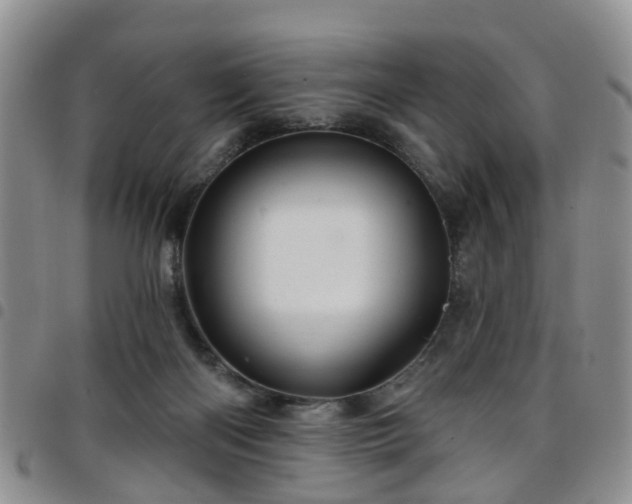 X0000097750122200803141605