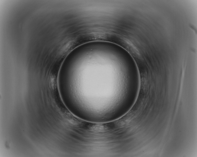 X0000097750123200803141605