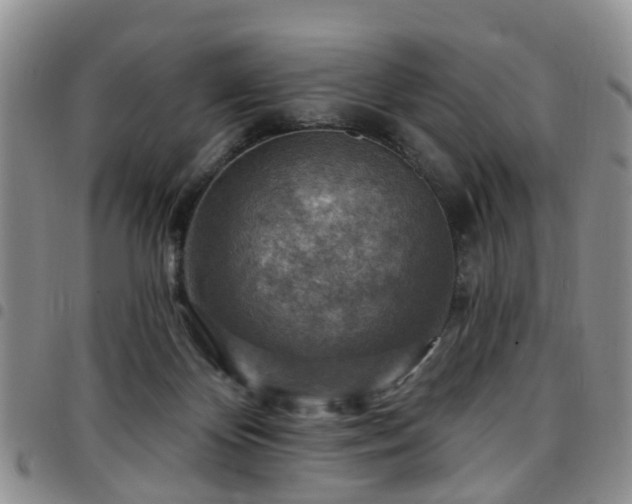 X0000097750124200803141605