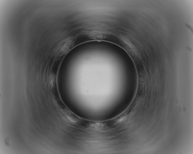 X0000097750125200803141605