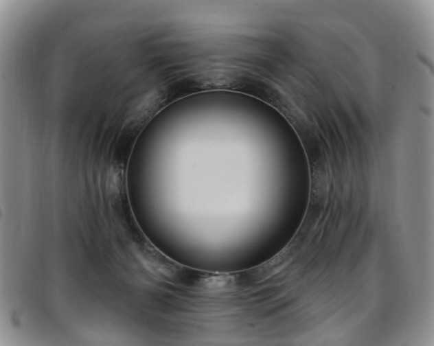 X0000097750126200803141605