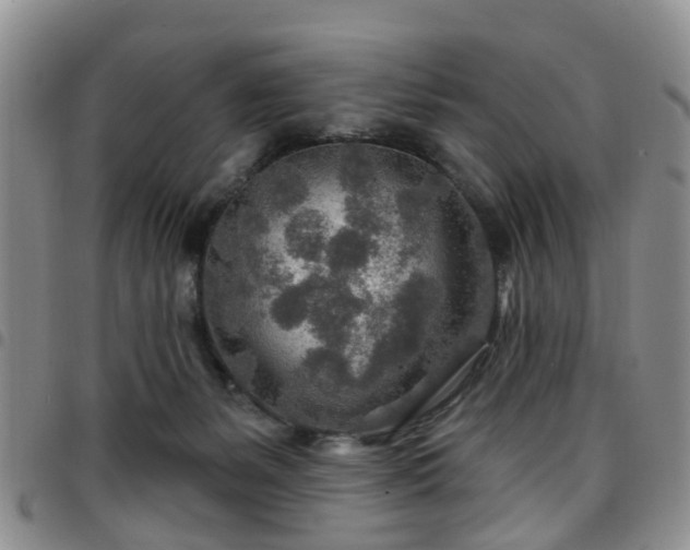 X0000097750127200803141605