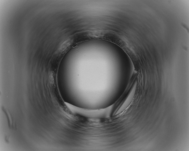 X0000097750128200803141605