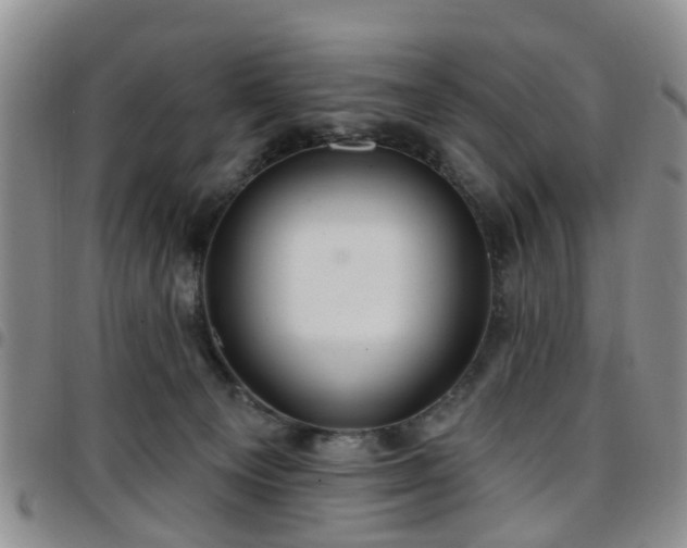 X0000097750129200803141605