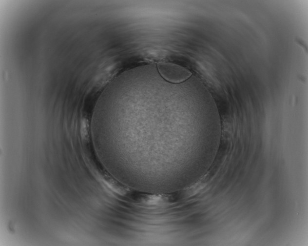 X0000097750130200803141605