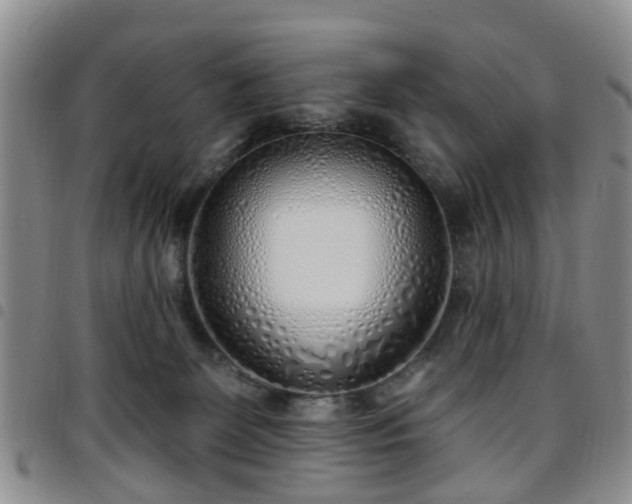 X0000097750131200803141605