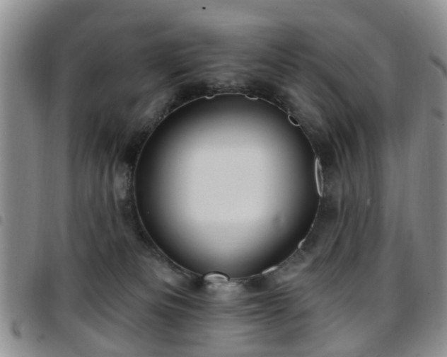 X0000097750133200803141605