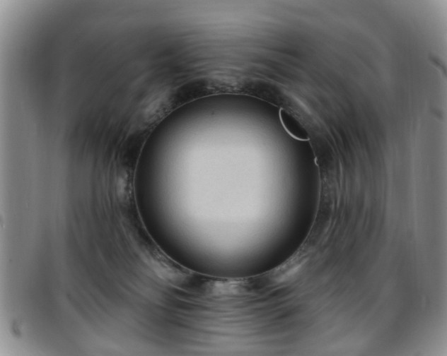 X0000097750134200803141605