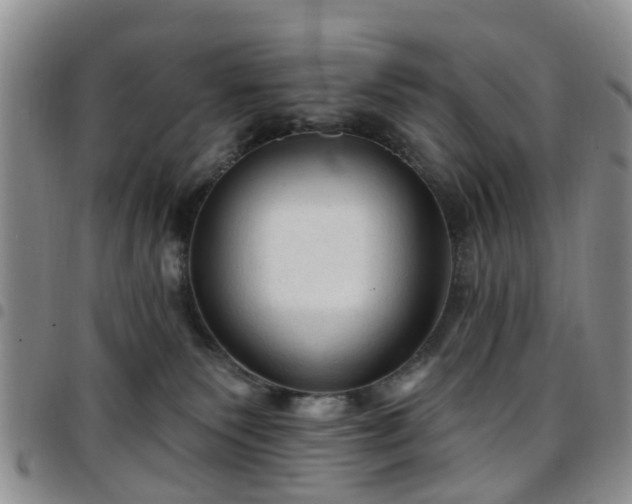 X0000097750135200803141605