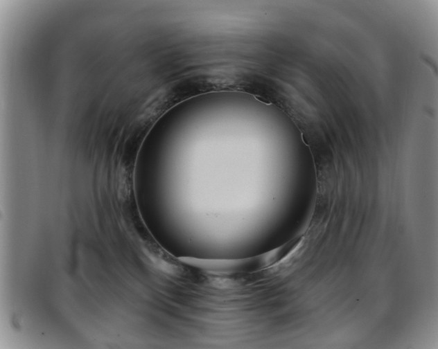 X0000097750136200803141605