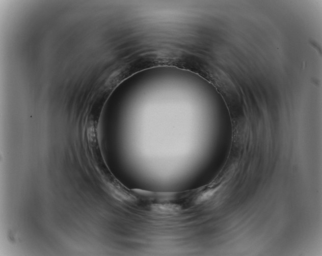 X0000097750137200803141605