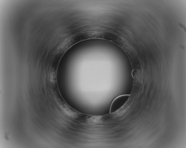 X0000097750138200803141605