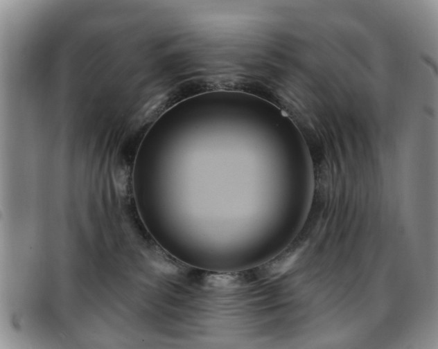 X0000097750139200803141605